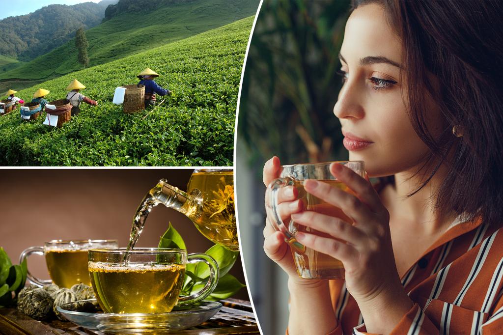 Is green tea really 'nature's ozempic'? Here's why experts support it for healthy weight loss